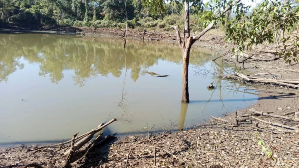 “ရေ” “ရွှေ” ကဲ့သို့ အဖိုးတန် ရှားပါး