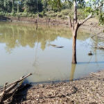 “ရေ” “ရွှေ” ကဲ့သို့ အဖိုးတန် ရှားပါး