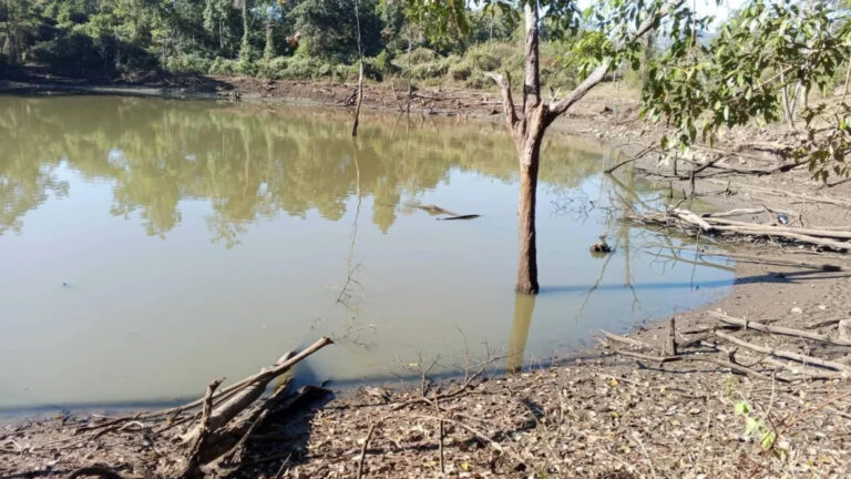 “ရေ” “ရွှေ” ကဲ့သို့ အဖိုးတန် ရှားပါး